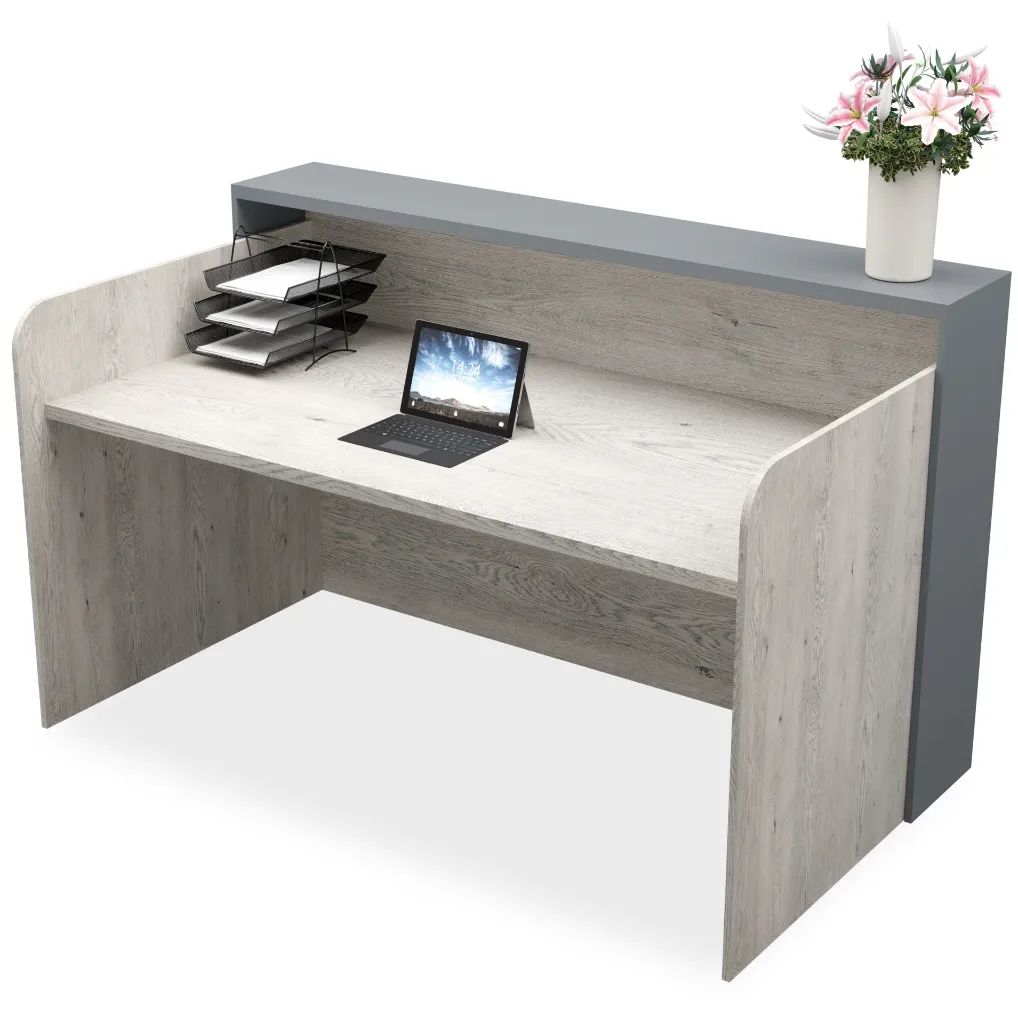 Luna Reception (4).webp